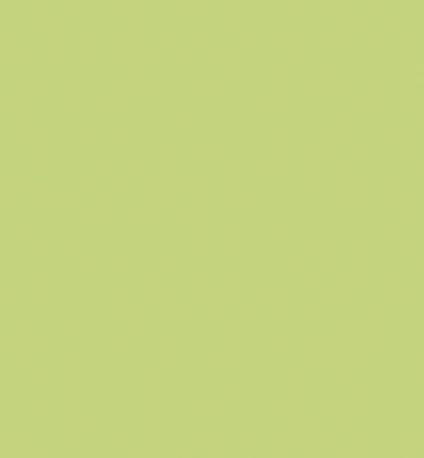 Cashmere Mix Round Neck Knit in Shades of Green