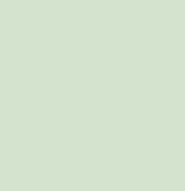 Cashmere Mix Round Neck Knit in Shades of Green