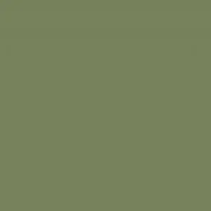 Cashmere Mix Round Neck Knit in Shades of Green
