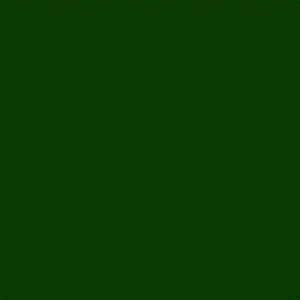 Cashmere Mix Round Neck Knit in Shades of Green