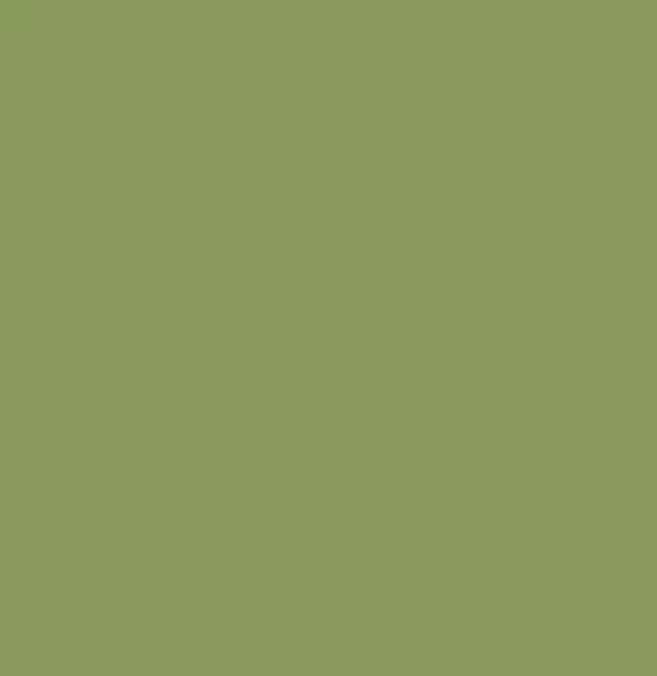 Cashmere Mix V Neck Knit in Shades of Green