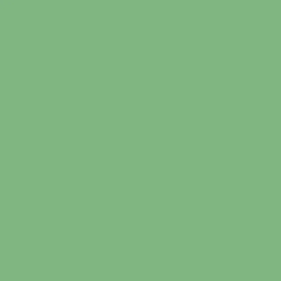 magic_plain_trousers_in_s_2.webp Magic Plain Trousers in Shades of Green
