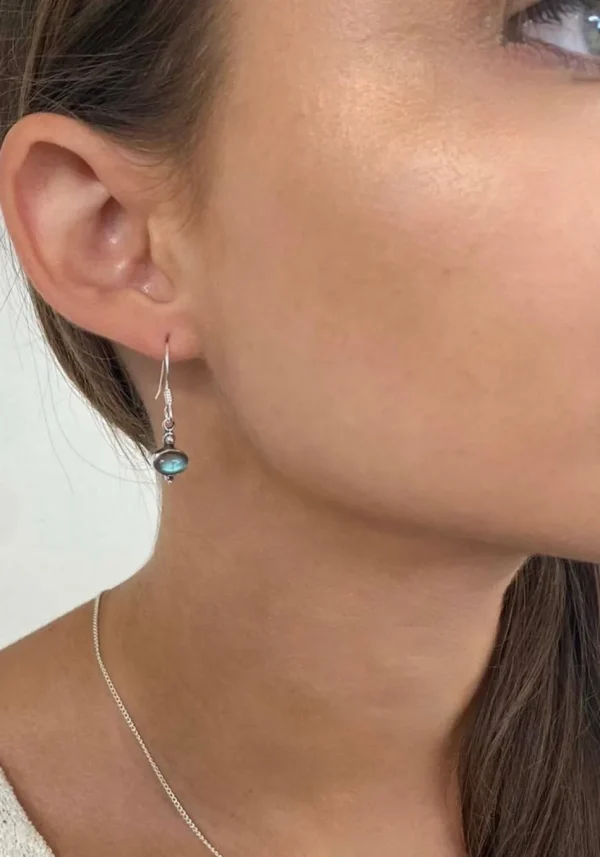 Solid Silver Labradorite Drop Earrings