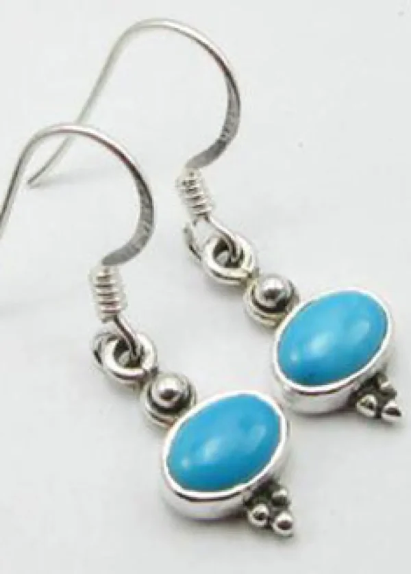 Solid Silver Turquoise Oval Drop Earrings
